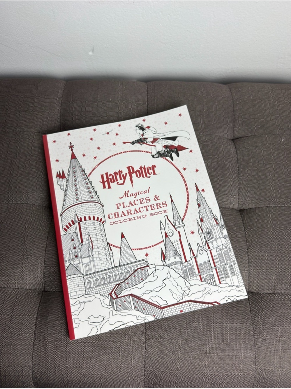 Harry Potter Magical Places & Characters Coloring Book Adult Coloring NWT